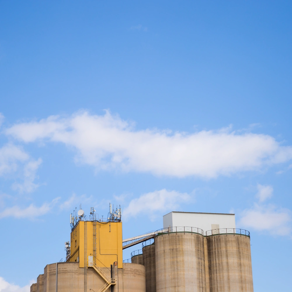 pahami 6 perbedaan antara energi biogas dan biomassa