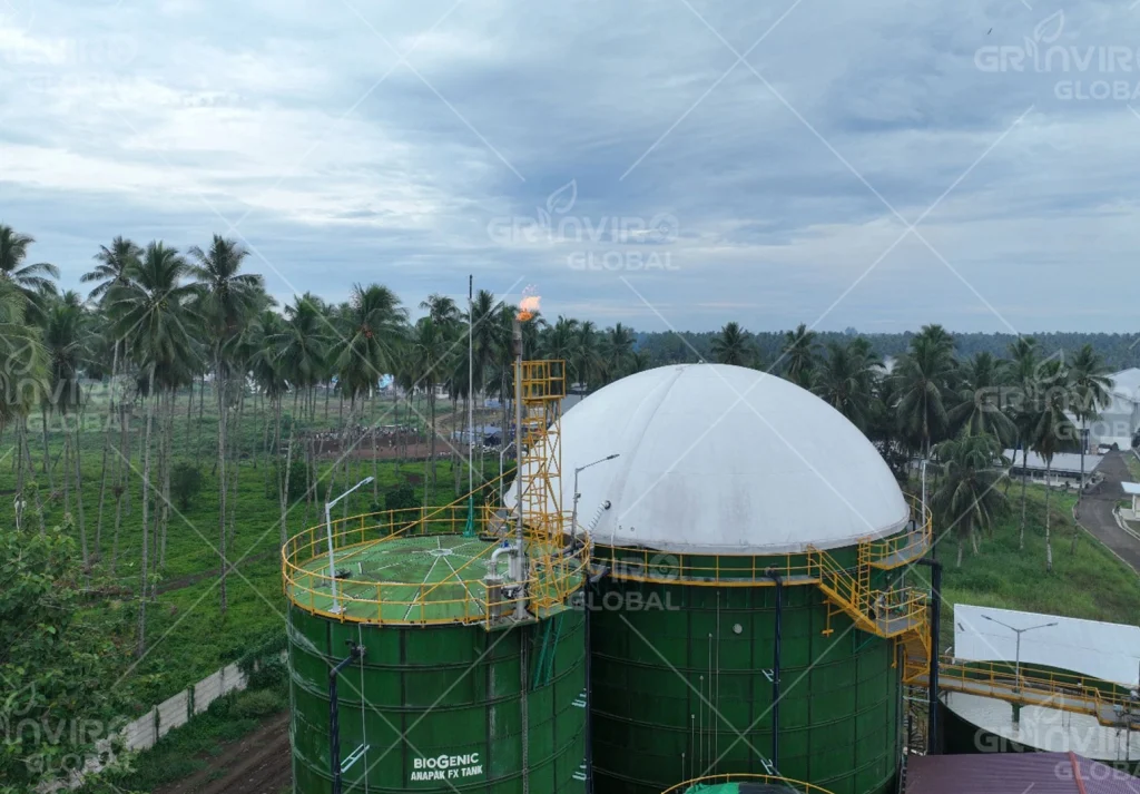 biogas vs panel surya lebih efisien mana?